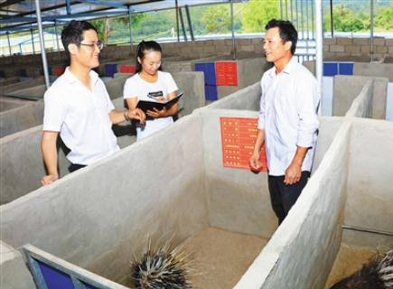 谈球吧体育备用网址